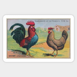 Leghorn Chickens Trade Card Sticker